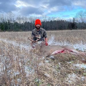 Meet your Posher, Peter